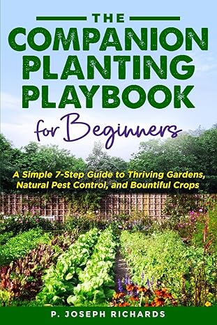 Book Cover 2